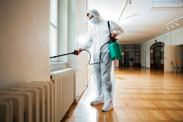 Best Real Estate Pest Inspections  in Passaic, NJ